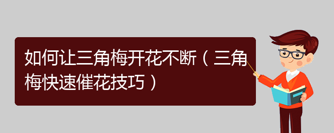 如何让三角梅开花不断（三角梅快速催花技巧）