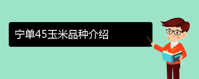 宁单45玉米品种介绍