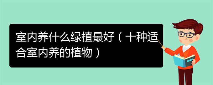 室内养什么绿植最好（十种适合室内养的植物）