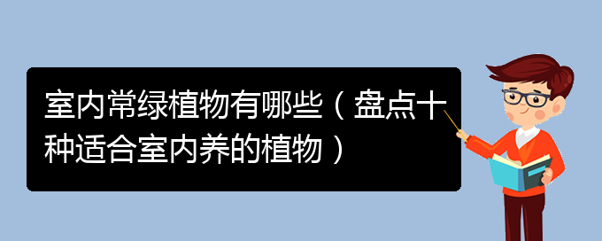 室内常绿植物有哪些（盘点十种适合室内养的植物）