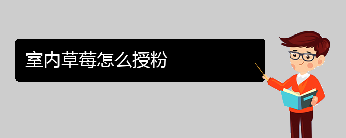 室内草莓怎么授粉