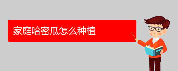 家庭哈密瓜怎么种植