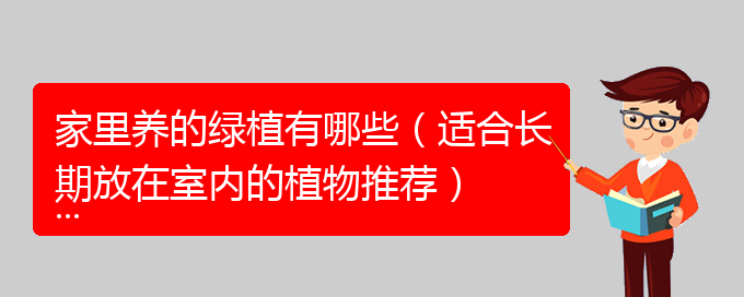 家里养的绿植有哪些（适合长期放在室内的植物推荐）