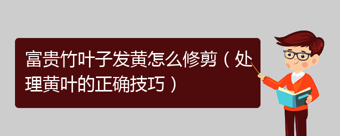 富贵竹叶子发黄怎么修剪（处理黄叶的正确技巧）