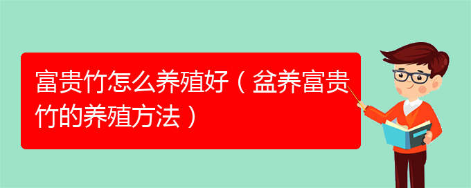 富贵竹怎么养殖好（盆养富贵竹的养殖方法）