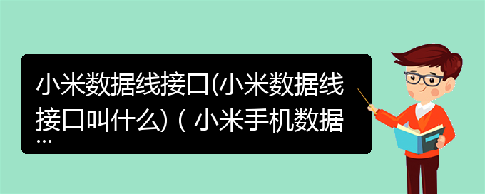 小米数据线接口(小米数据线接口叫什么)（小米手机数据线是什么接口）