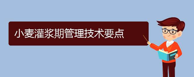 小麦灌浆期管理技术要点