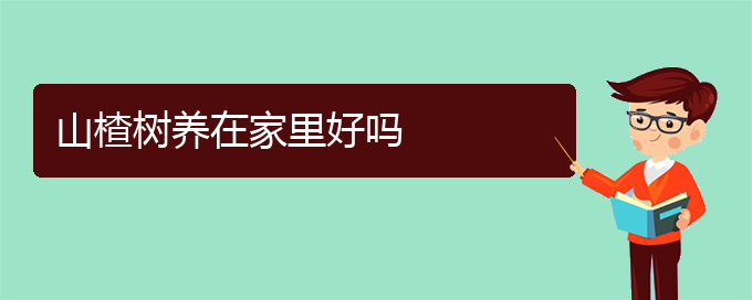 山楂树养在家里好吗