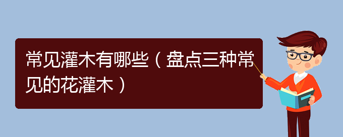 常见灌木有哪些（盘点三种常见的花灌木）