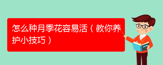 怎么种月季花容易活（教你养护小技巧）