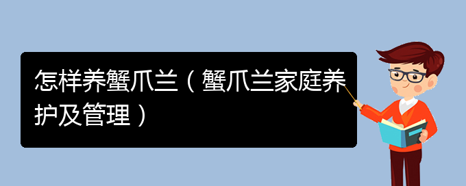 怎样养蟹爪兰（蟹爪兰家庭养护及管理）