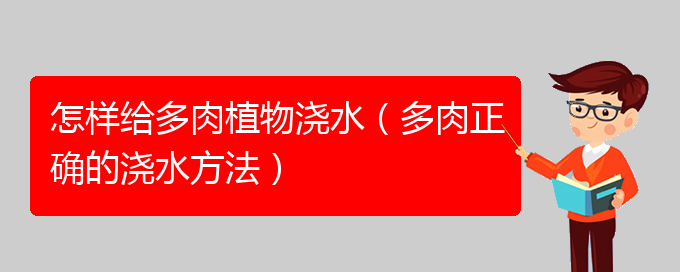 怎样给多肉植物浇水（多肉正确的浇水方法）