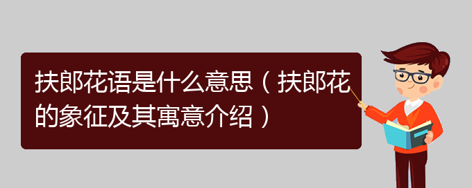 扶郎花语是什么意思（扶郎花的象征及其寓意介绍）