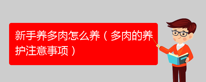 新手养多肉怎么养（多肉的养护注意事项）