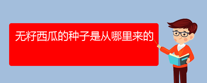 无籽西瓜的种子是从哪里来的