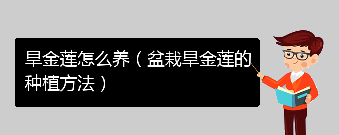 旱金莲怎么养（盆栽旱金莲的种植方法）