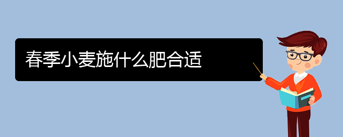 春季小麦施什么肥合适