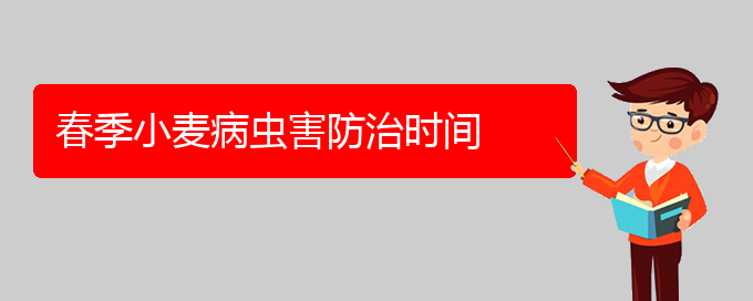 春季小麦病虫害防治时间