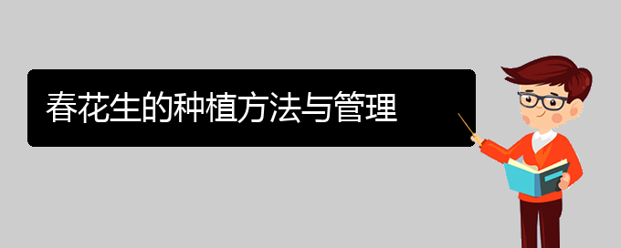 春花生的种植方法与管理