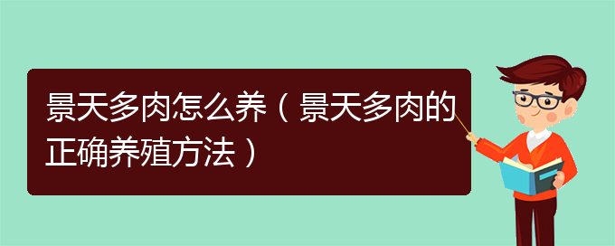 景天多肉怎么养（景天多肉的正确养殖方法）