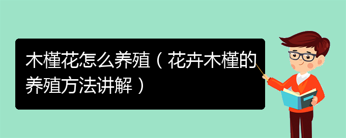 木槿花怎么养殖（花卉木槿的养殖方法讲解）