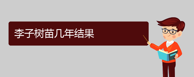 李子树苗几年结果