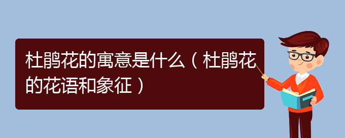 杜鹃花的寓意是什么（杜鹃花的花语和象征）