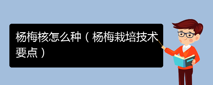 杨梅核怎么种（杨梅栽培技术要点）