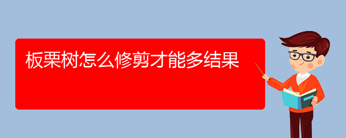 板栗树怎么修剪才能多结果