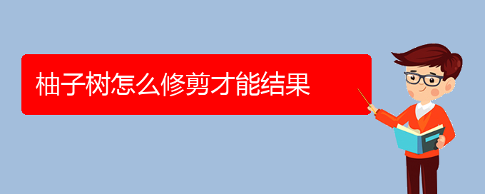 柚子树怎么修剪才能结果