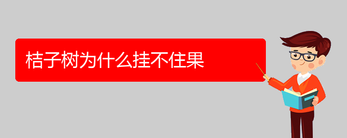 桔子树为什么挂不住果