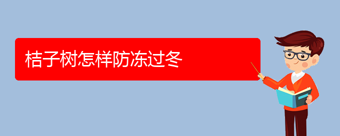 桔子树怎样防冻过冬