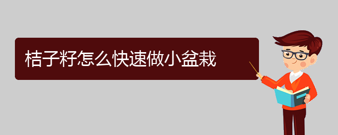 桔子籽怎么快速做小盆栽