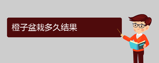 橙子盆栽多久结果