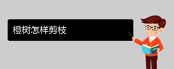 橙树怎样剪枝