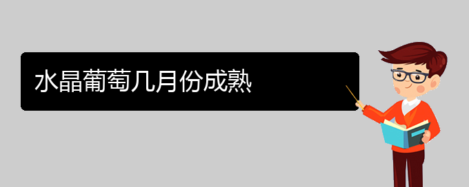 水晶葡萄几月份成熟