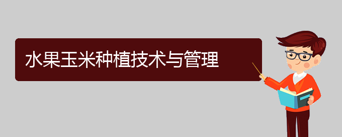 水果玉米种植技术与管理