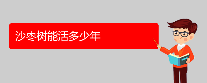 沙枣树能活多少年