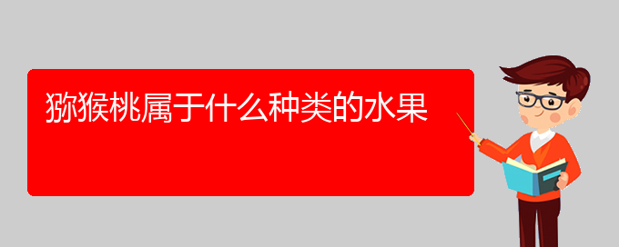 猕猴桃属于什么种类的水果