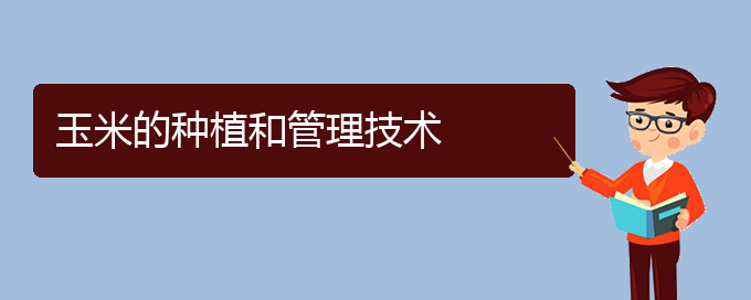 玉米的种植和管理技术