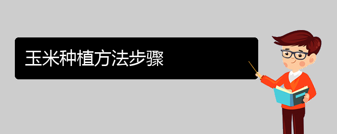 玉米种植方法步骤