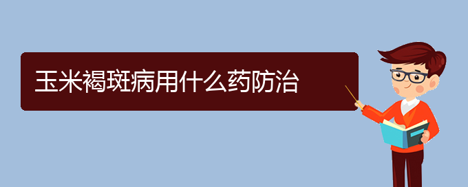 玉米褐斑病用什么药防治