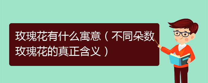 玫瑰花有什么寓意（不同朵数玫瑰花的真正含义）