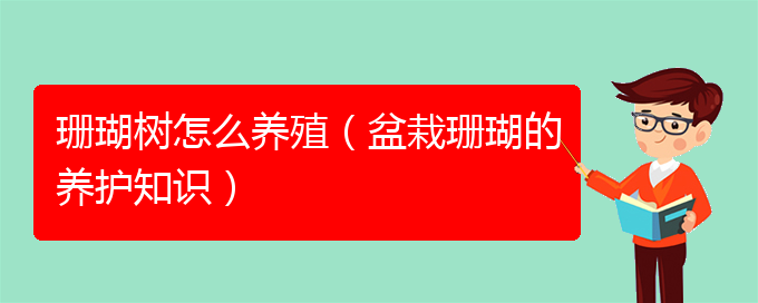 珊瑚树怎么养殖（盆栽珊瑚的养护知识）