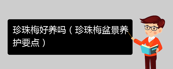 珍珠梅好养吗（珍珠梅盆景养护要点）