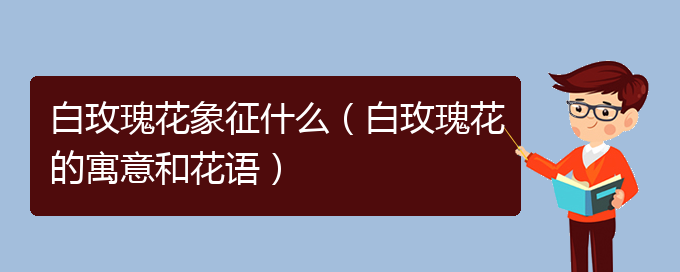 白玫瑰花象征什么（白玫瑰花的寓意和花语）