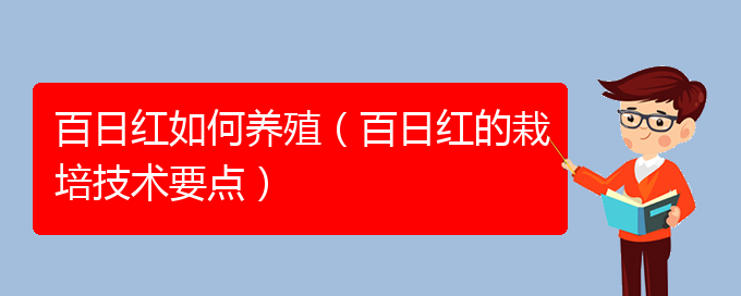 百日红如何养殖（百日红的栽培技术要点）