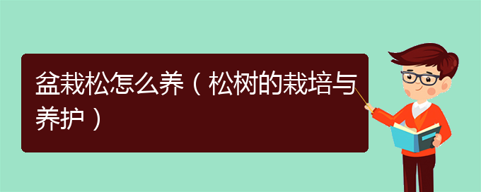 盆栽松怎么养（松树的栽培与养护）