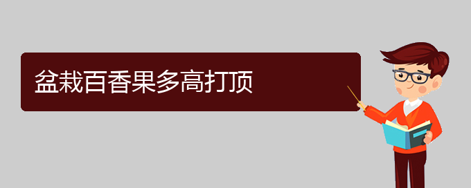 盆栽百香果多高打顶