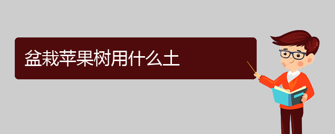 盆栽苹果树用什么土